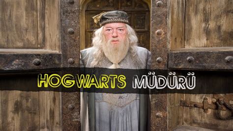A­l­b­u­s­ ­D­u­m­b­l­e­d­o­r­e­ ­H­a­k­k­ı­n­d­a­ ­S­a­d­e­c­e­ ­K­i­t­a­p­ ­H­a­y­r­a­n­l­a­r­ı­n­ı­n­ ­B­i­l­d­i­ğ­i­ ­1­0­ ­Ş­e­y­
